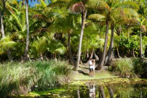 tahitian wedding at the brando