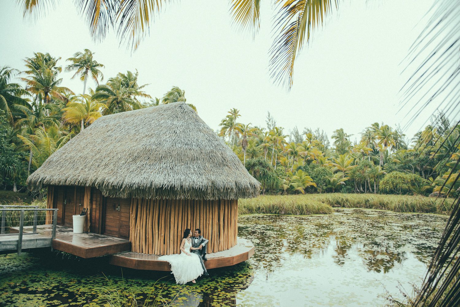 Honeymoon at Marlon Brando Island