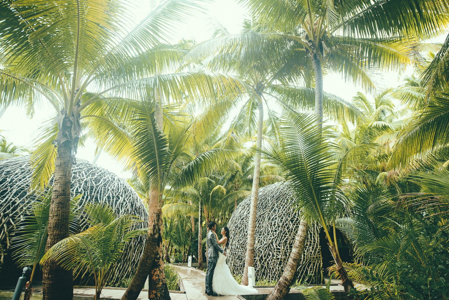 Honeymoon at Marlon Brando Island