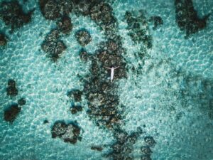 Bora Bora Photographer