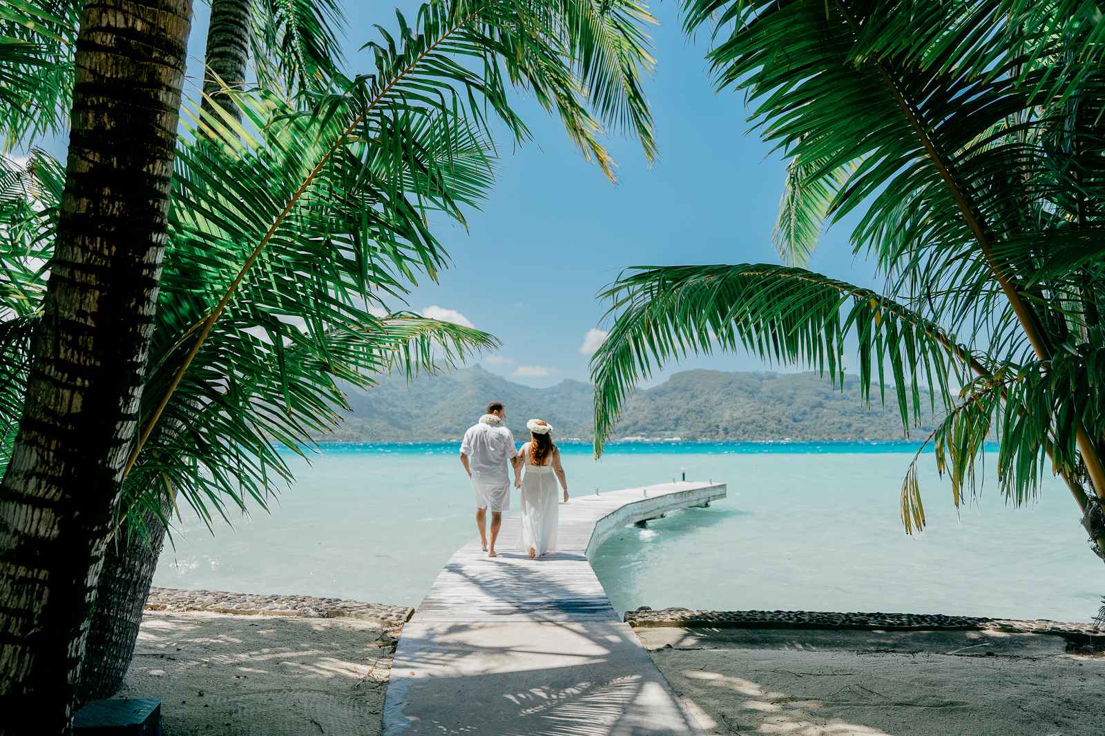 tahaa photographer