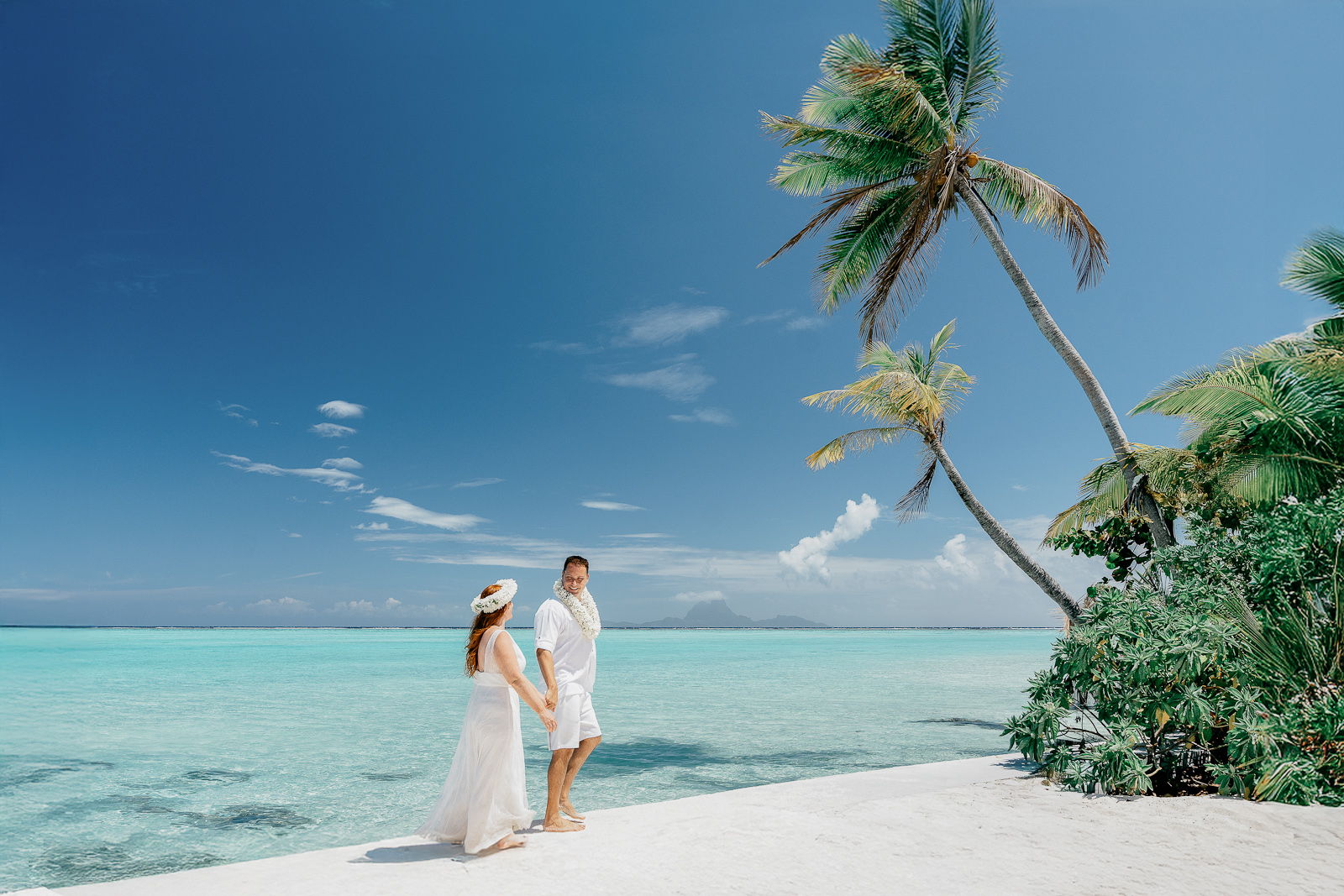 tahaa photographer