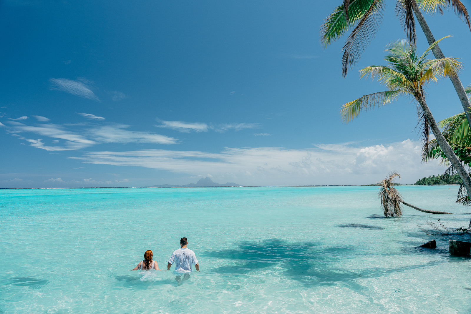 tahaa photographer
