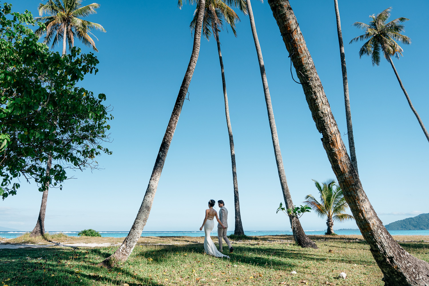 A Beautiful Wedding Day in Moorea